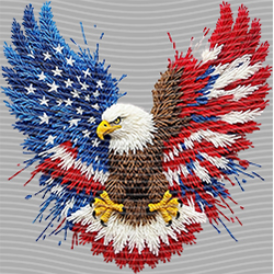 Embroidery-CX 609